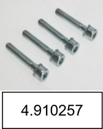 4.910257 Cylinder screw inside 6-edge M5x30, SCHILLER