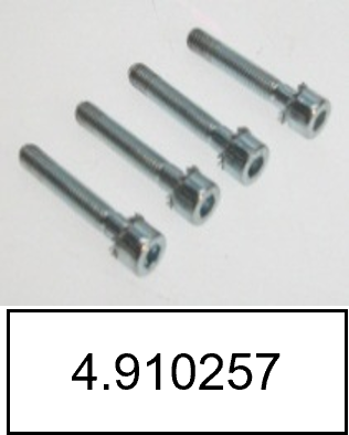 4.910257 Cylinder screw inside 6-edge M5x30, SCHILLER
